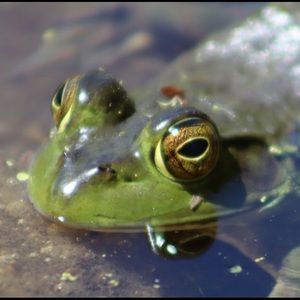 Meet your Posher, Annika